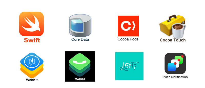 iOS App Development Company in Raipur
